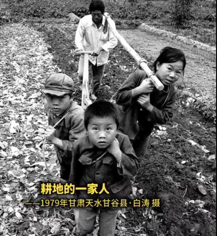 1979年6月，甘肃省天水地区的甘谷县，一家人正在耕地，但是他们没有牛马畜力可用