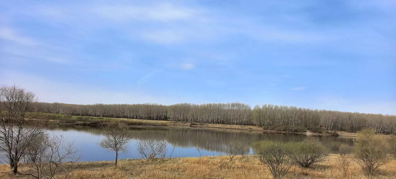 池畔草萌早迎春