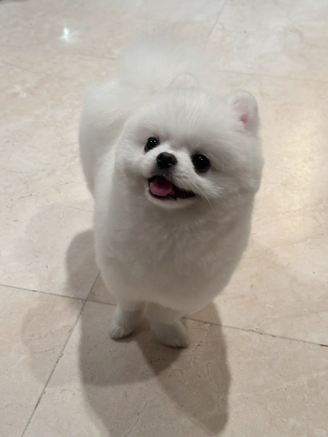 眼里有光的具象化✨