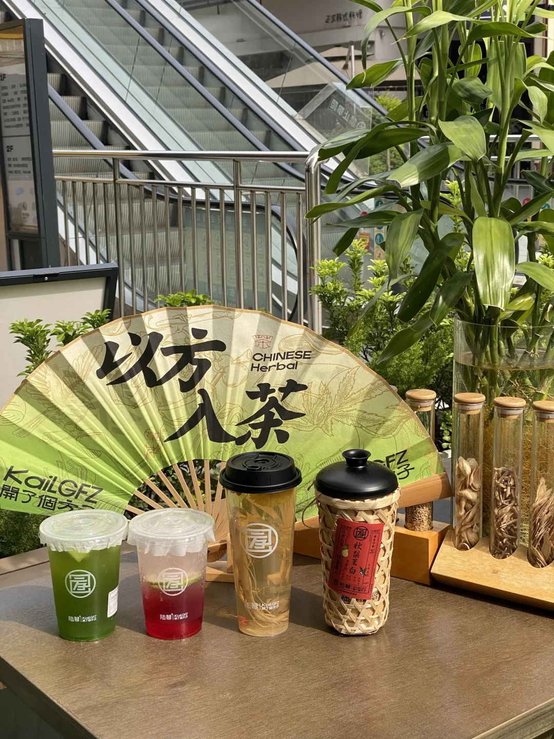 自贡的…养生奶茶建议纳入医保！！！！