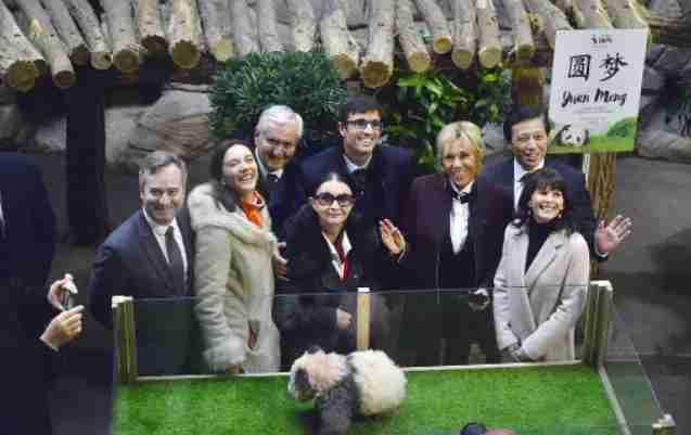 发现了吗？
马克龙夫人布丽吉特非常喜欢大熊猫！
感觉她这次来访问就是奔着熊猫来的