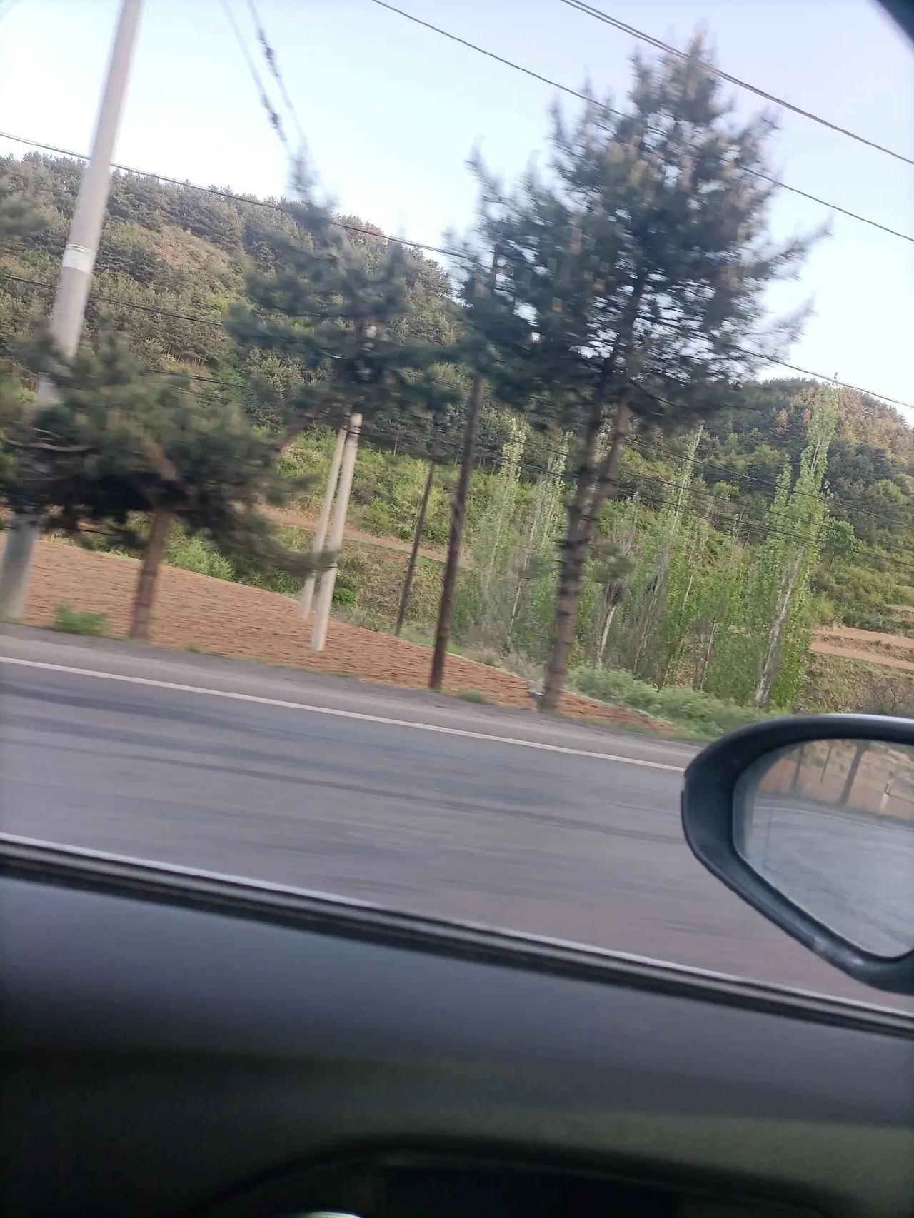忘情水