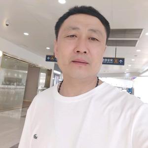 龙行天下纵横四海