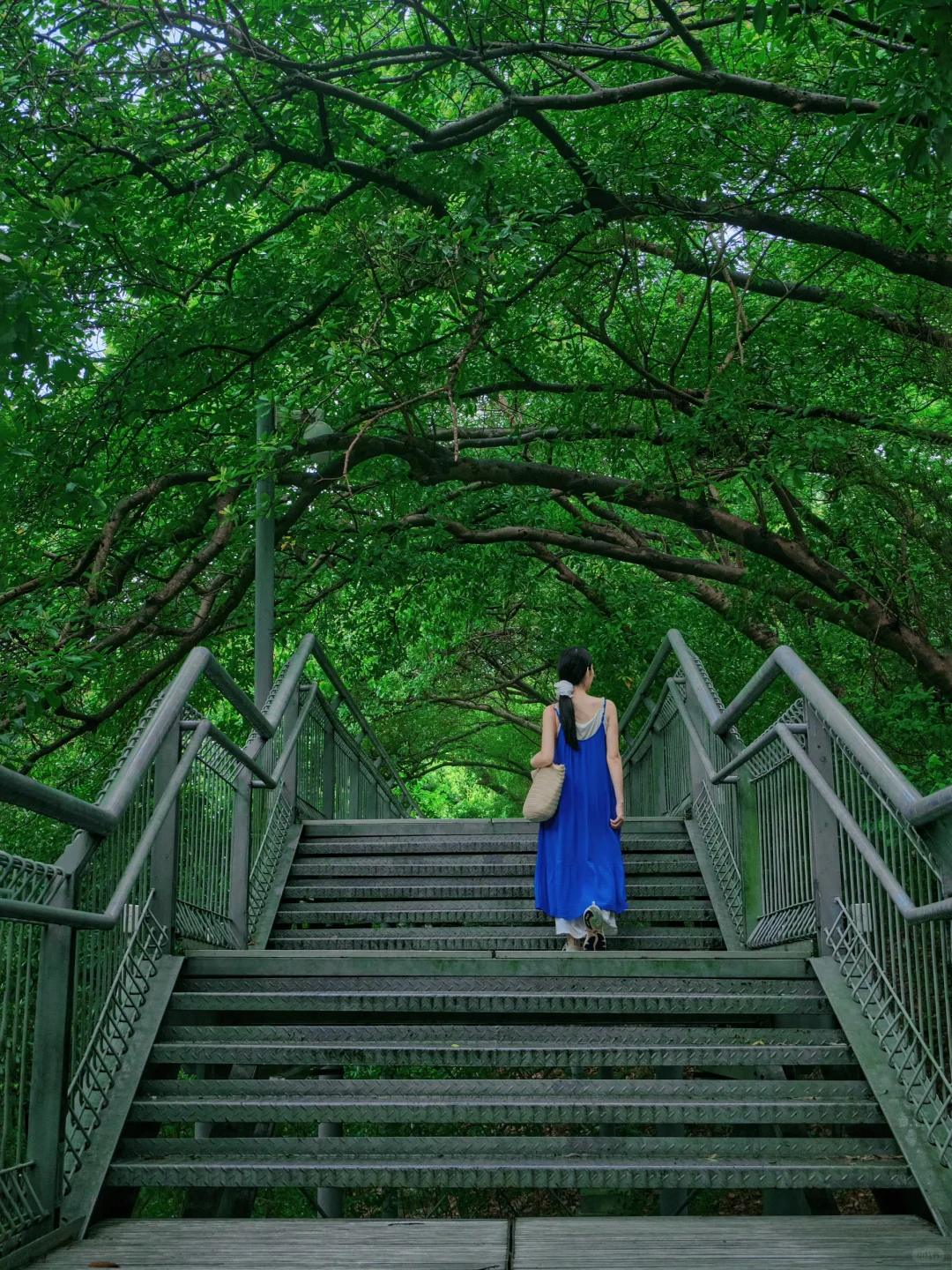 地铁直达🚇这个闹市里的绿野仙踪真的很静谧