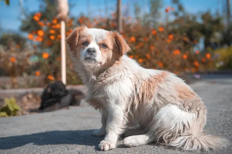 没钱可怕，但有些事比这更要命。老了家里连个说话的人都没有，“钱攒够了，人却空了”