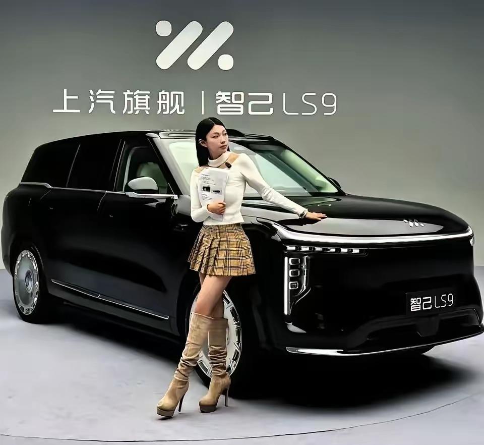 全球顶级五大车企排名：
第五名  德国奔驰
第四名  中国上汽
第三名  日本本