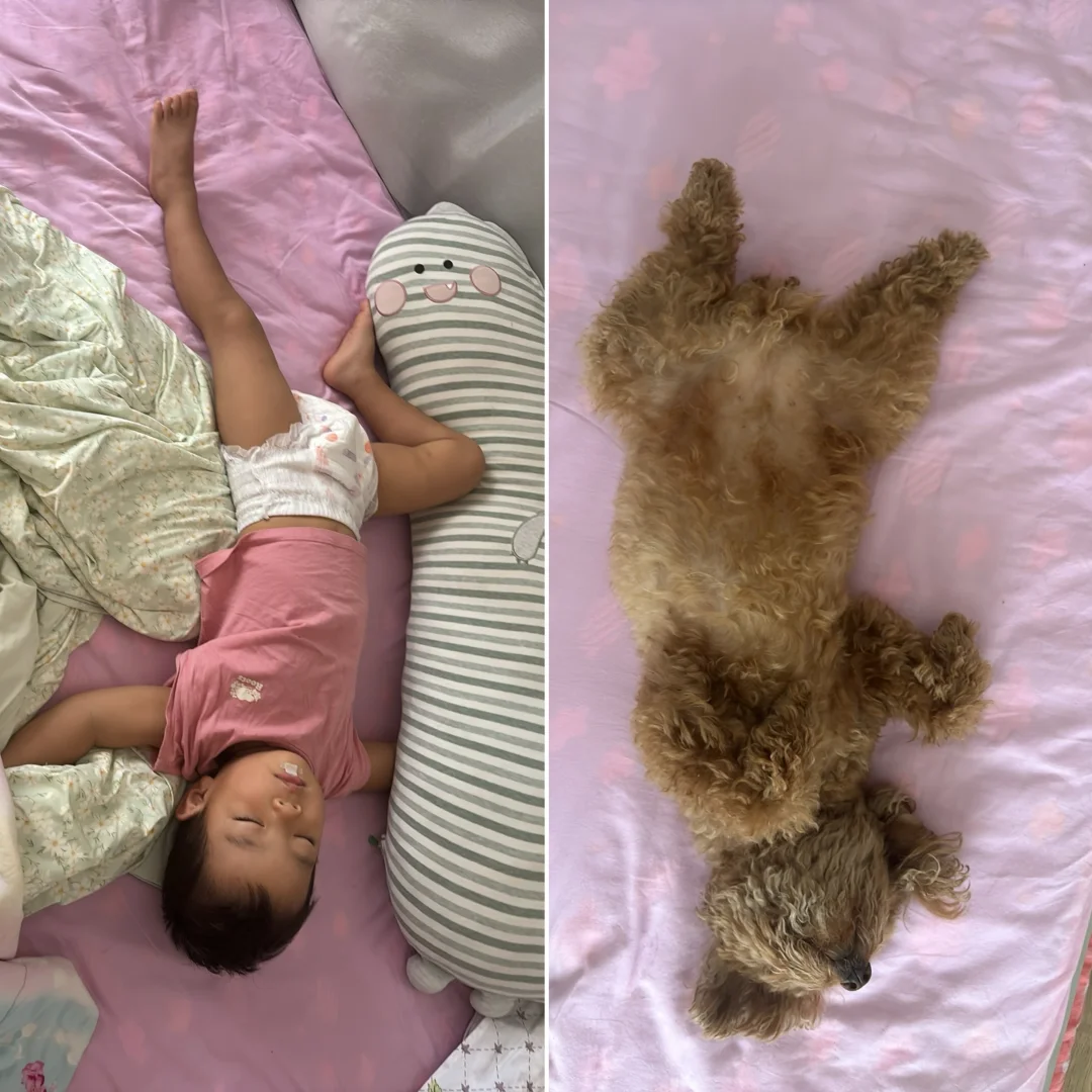 据说一起生活久了会越来越像
