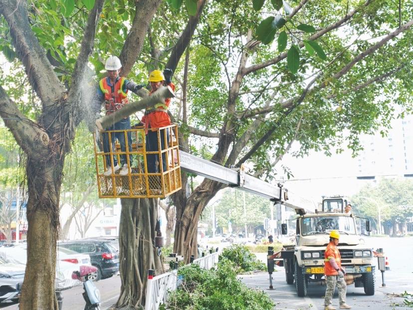南宁19条道路大变样！剪几刀，夜晚竟亮了七成

晚上骑车摸黑走、路灯被树叶“吞掉