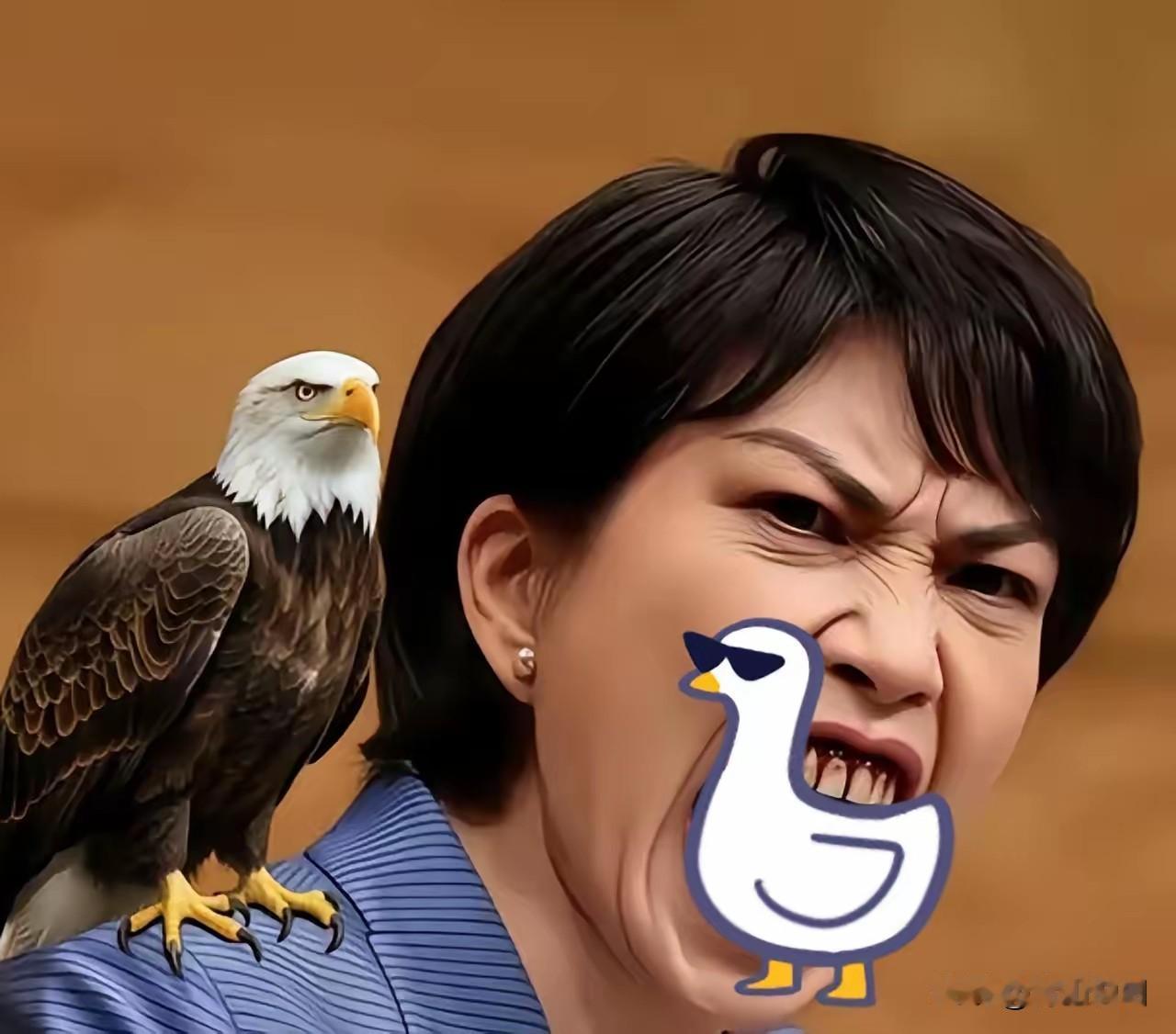 突发！日本首相高市早苗突然发难，把中国最近在联合国提的