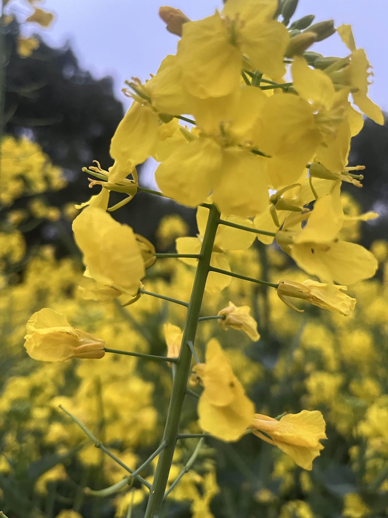 别记养生长篇大论了，就七个字，多一个都是骗你。

1. 睡——到点就倒，别跟枕头