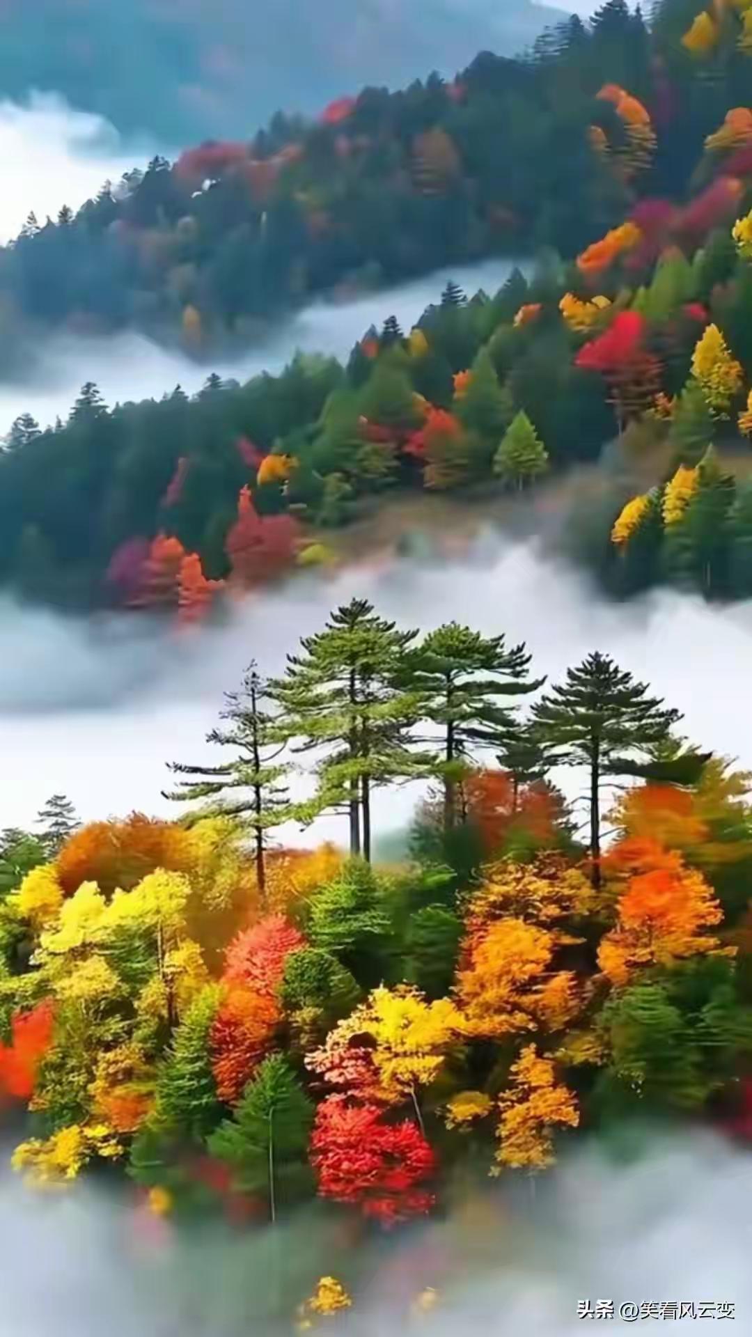 自然之美的美景耐人寻味，越看越有故事。