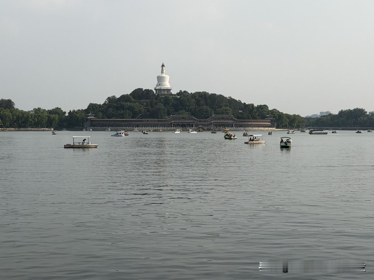太液荷开
蝉鸣入柳
把夏天留在北海的湖光里
北海公园