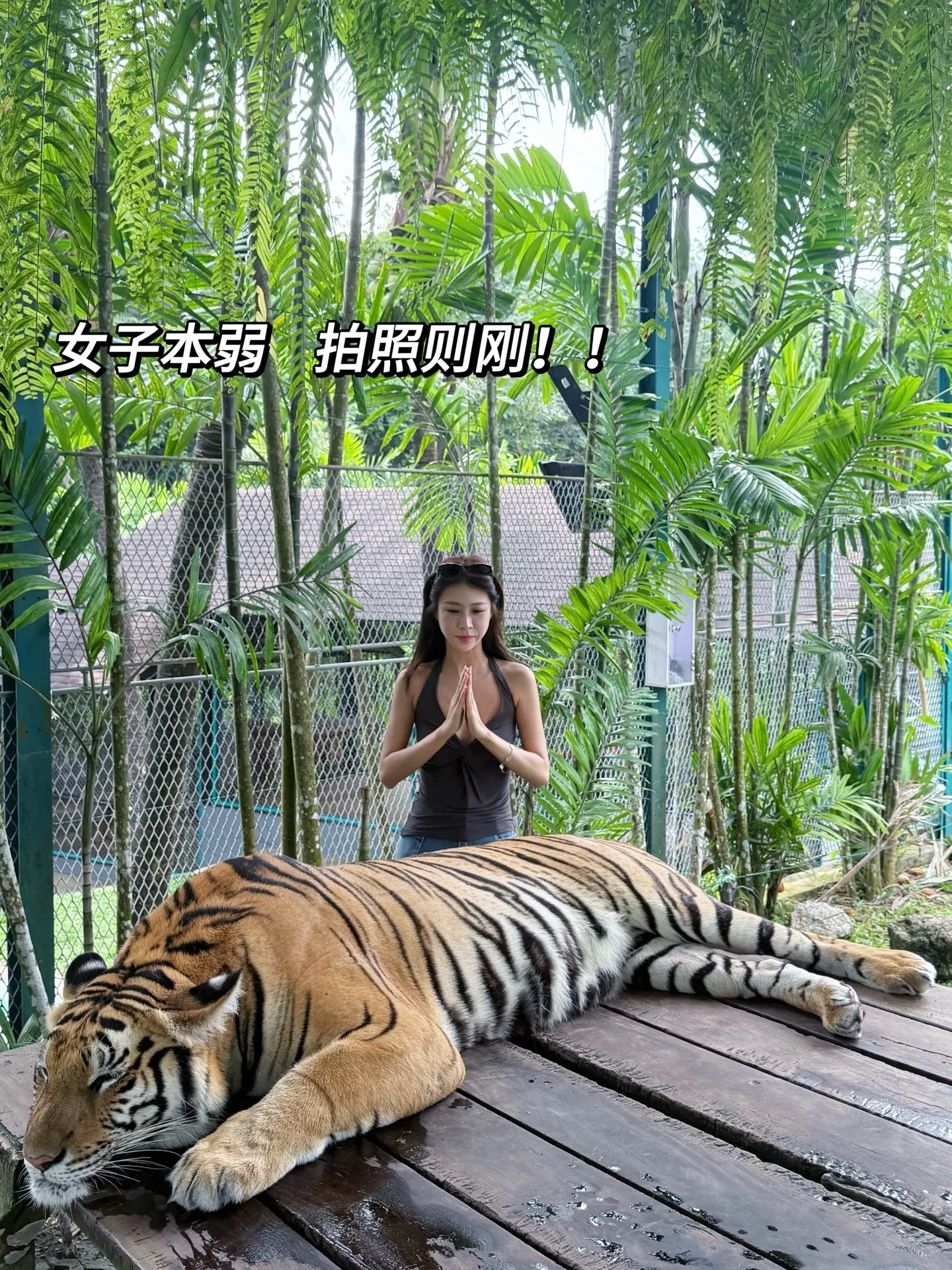 屏幕前的家人们觉得我能活下来吗