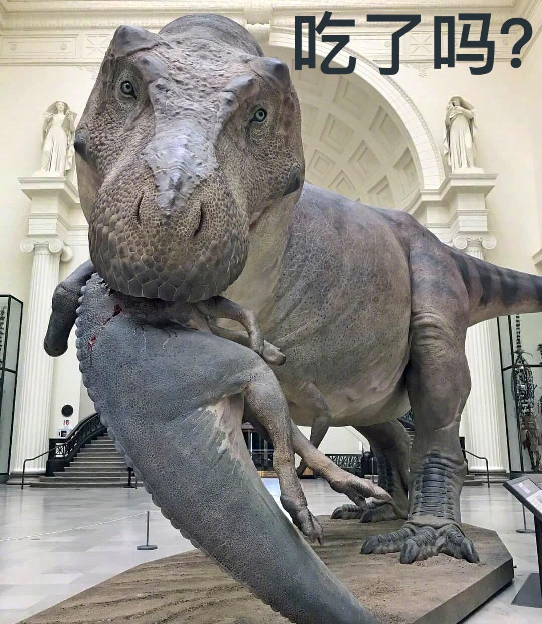 【霸王龙的体温可能与人类接近】在《侏罗纪世界》（Jurrasic World）的