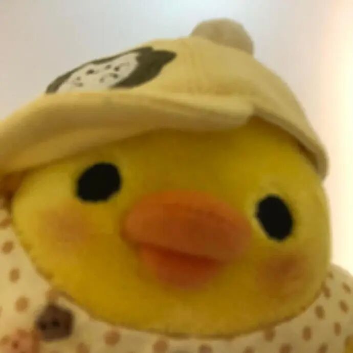 说三个你最看中的择偶条件 