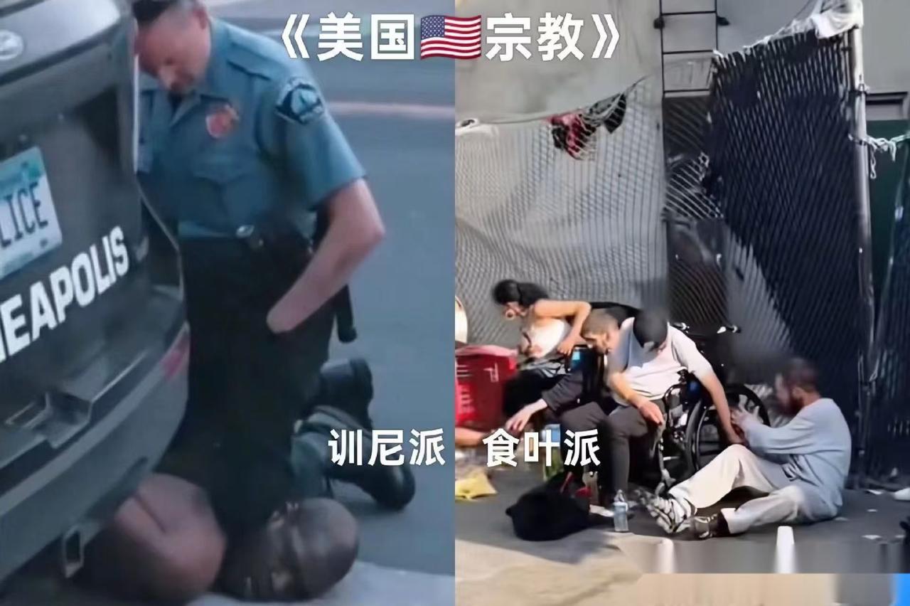 美国这个......
还真是很形象。