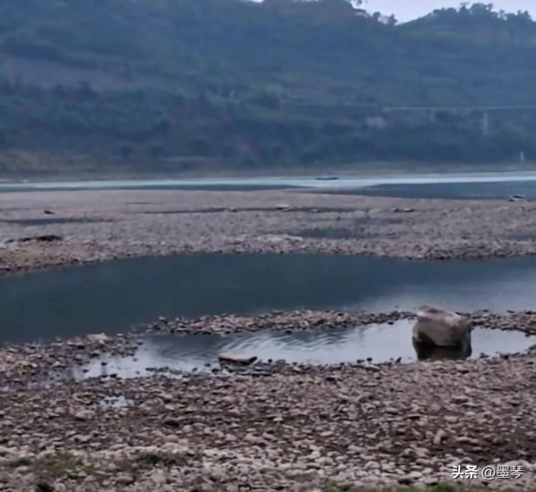 你去过瞌睡坝吗？一个春天适合郊游和烧烤露营的地方！[灵光一闪]


位于宜宾临港