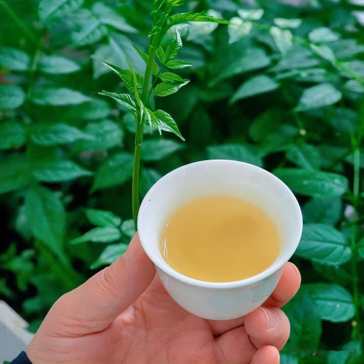 古树茶品质好的本质是什么?

壶里的水刚开始轻轻吟唱。有人守在旁边，急着问：怎么