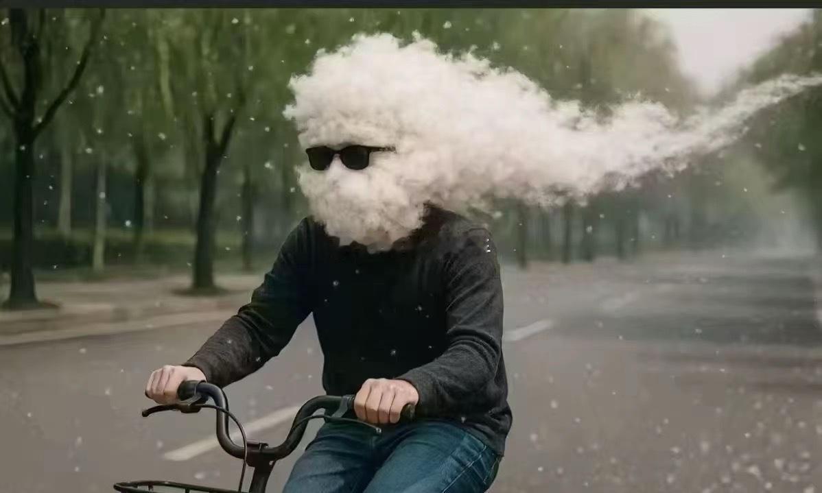 今年的柳絮赶脚没往年多啊~~~您当地柳絮啥情况啊？？？