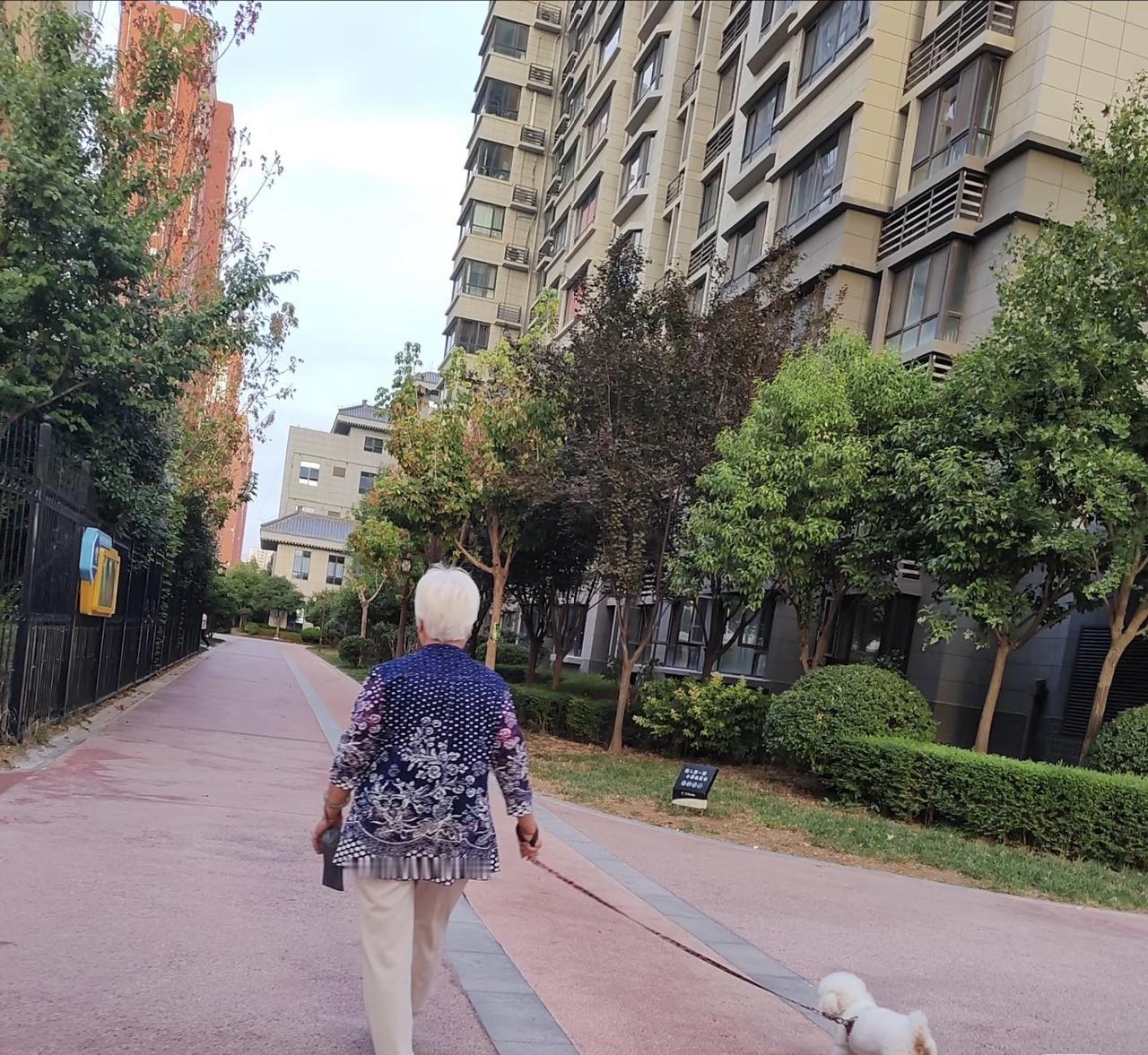 遛狗碰见王阿姨在练太极，她突然问我：“你看远处那青山，上联是‘远看青山绿水’，下