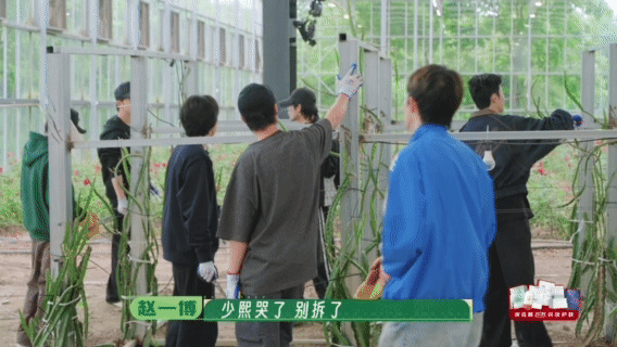 十个勤天对大棚就像我对我心肝种地吧后陡门大棚藏着十个勤天一整年的汗水，从开荒建棚