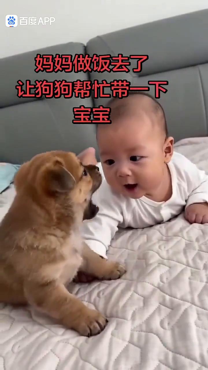 哇哇，哇哇，哈哈。