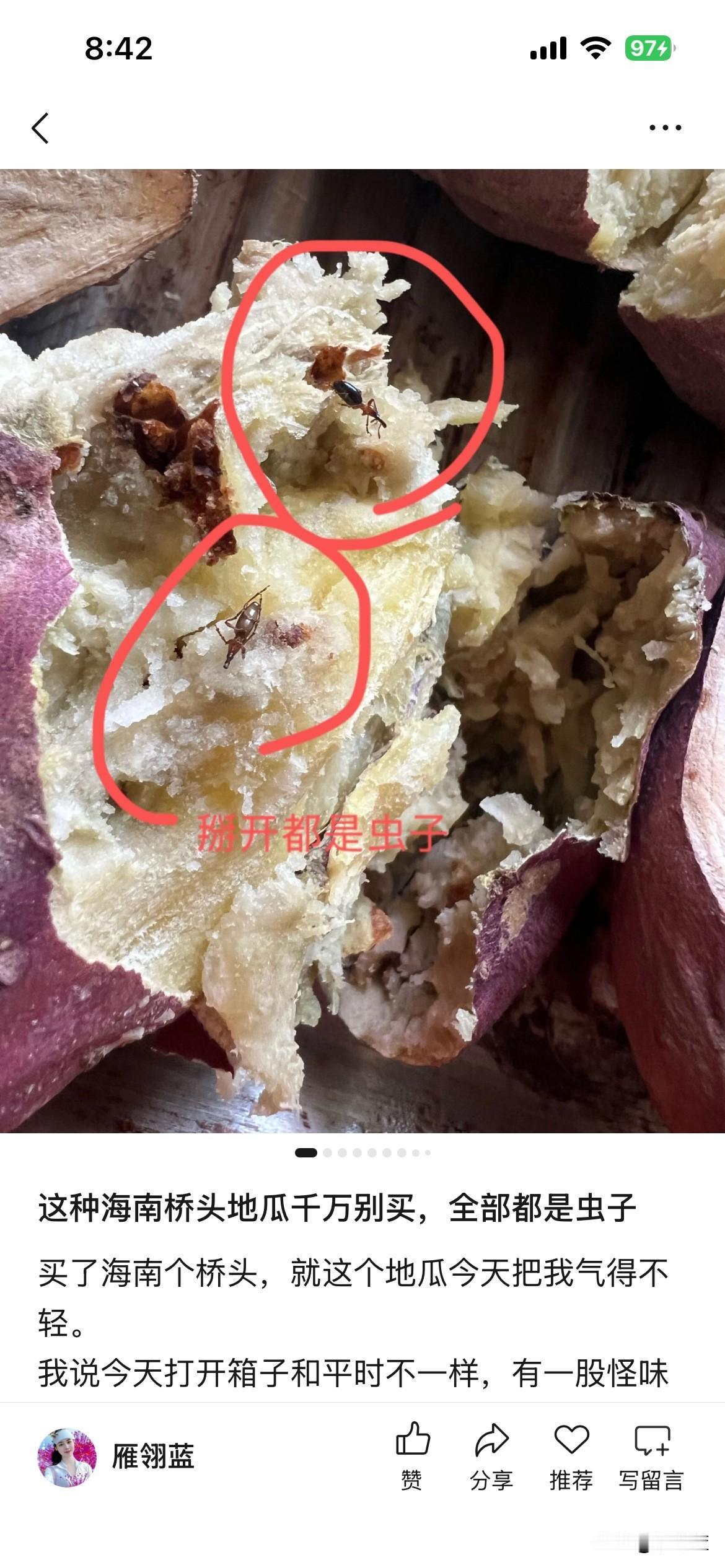你们买过带药味的红薯吗?我真的买过带药味的红薯，当我收到快递拿回家第一时间打开红