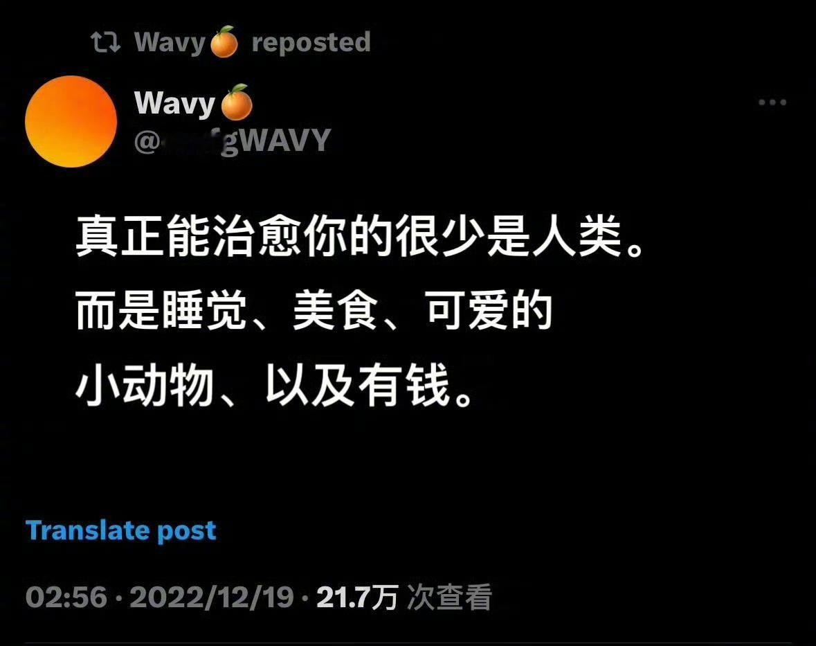 心情日记  真正治愈你的可能很少是人类[苦涩] 