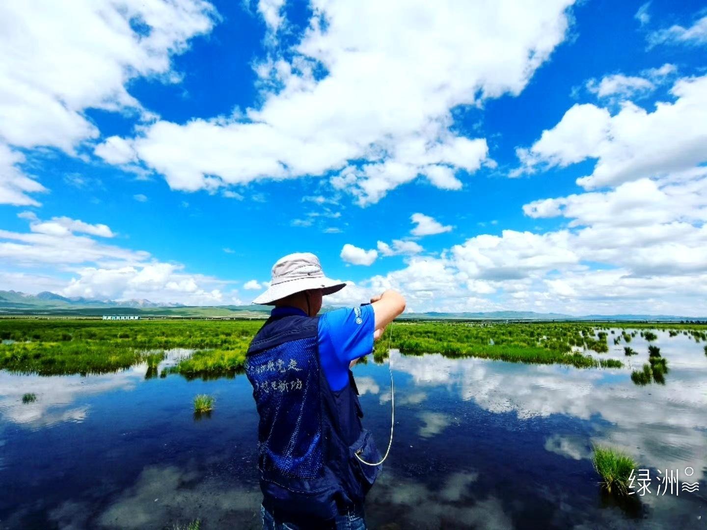 若尔盖花湖｜避暑何必远方 真正的避暑胜地，不在遥远秘境，就在若尔盖花湖。这里海拔