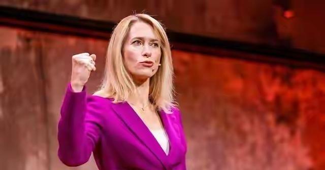 卡拉斯在海牙出席乌克兰国际损失赔偿委员会成立相关会议时表示：“该委员会将确定俄罗