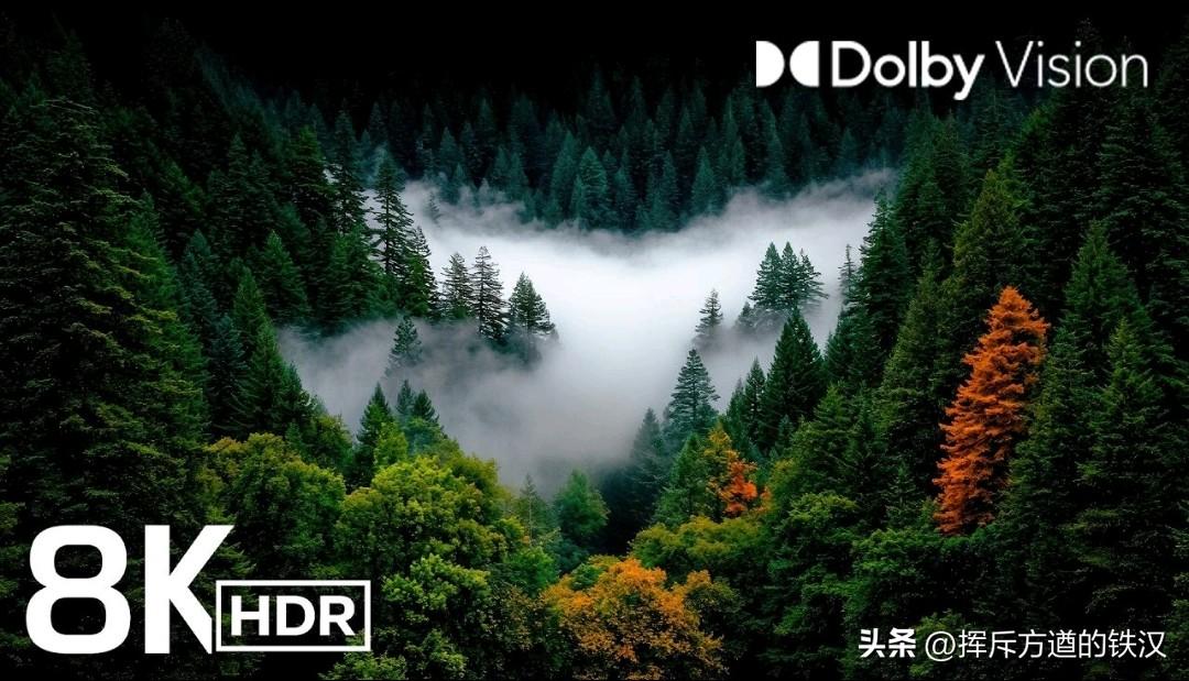 存储终究者！聊聊8k电影容量有多大！
第一种H.265/AV1压缩格式（最常见的