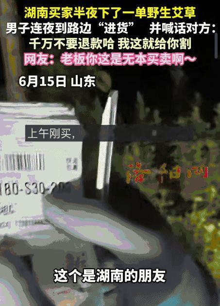 “笑不活了！”山东，男子接到湖南买家半夜下的一单野生艾草。没想到，他连夜到路边“