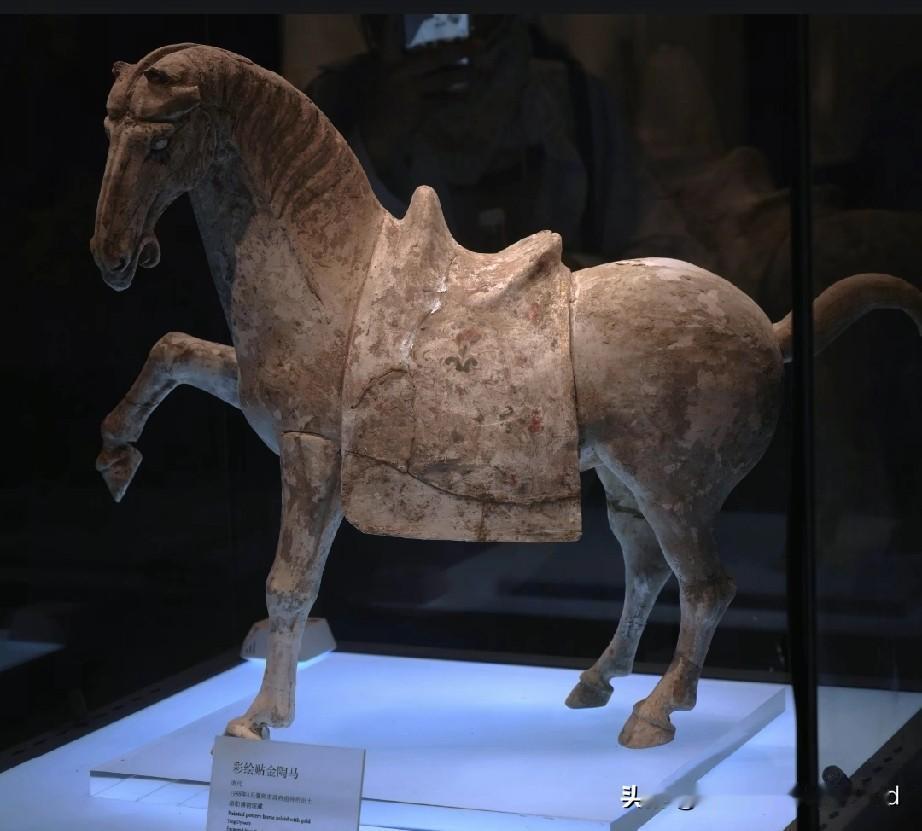 洛阳博物馆彩绘抬腿陶马，
前腿后腿摔裂。
2026年1月1日，因原始修复处粘接剂