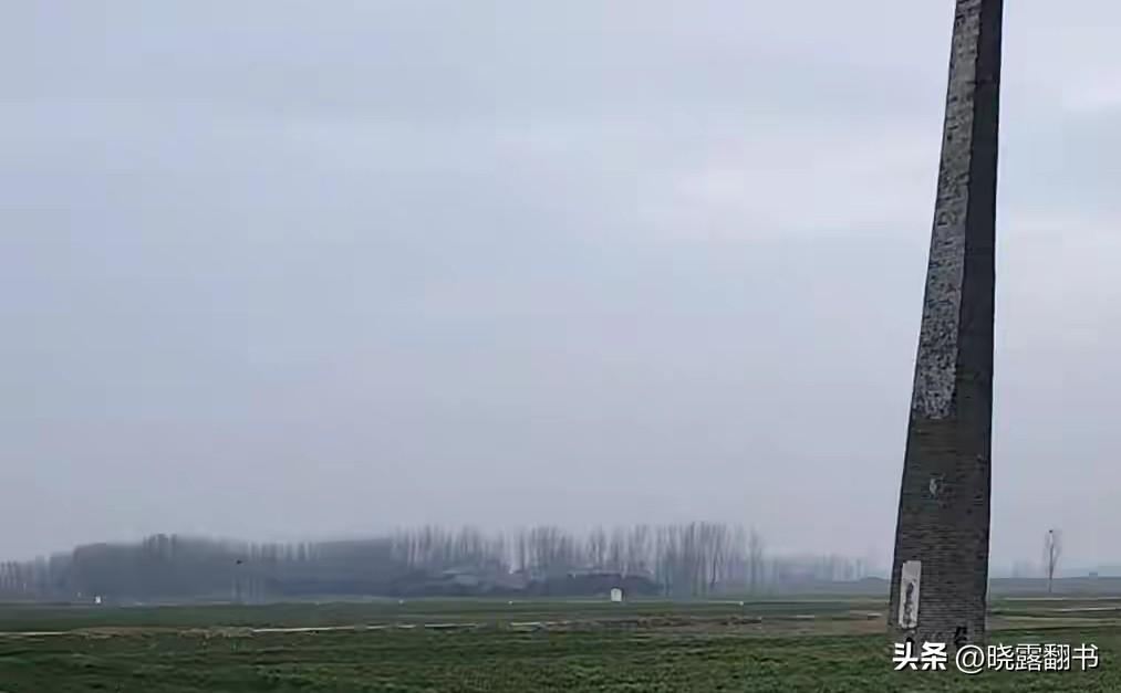 那片土地，我深深地爱着你

那片土地，我深深地爱着你。

爱你晨雾里的炊烟，慢慢