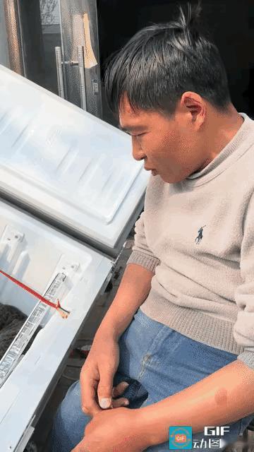 “笑不活了”近日河南一男子正在修理电器，他养的狸花跑了进去，还在里面认认真真的捣