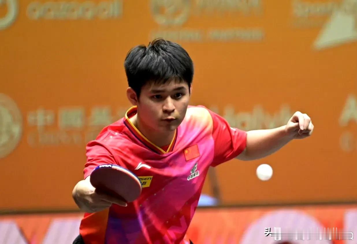 今晚20:00林诗栋和张本智和争冠军，这场比赛肯定好看了哈！

我感觉林诗栋和樊