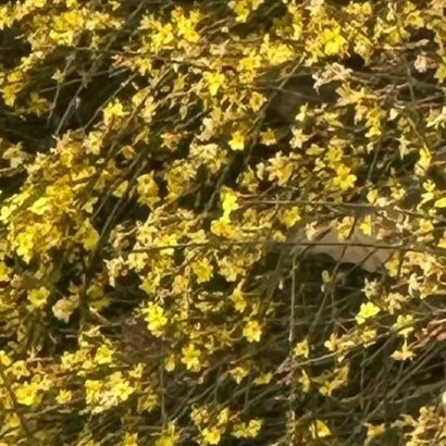 1400下午好我们生于红旗之下，生长于春风之中。以青春之名，书写清澈挚爱；以心中