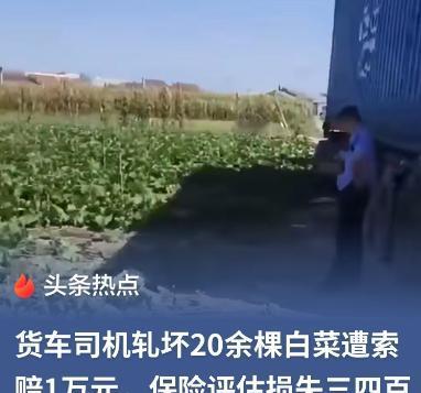 辽宁，一货车司机倒车时，不小心压坏农户20多棵白菜，对方开口就让他赔5000。司