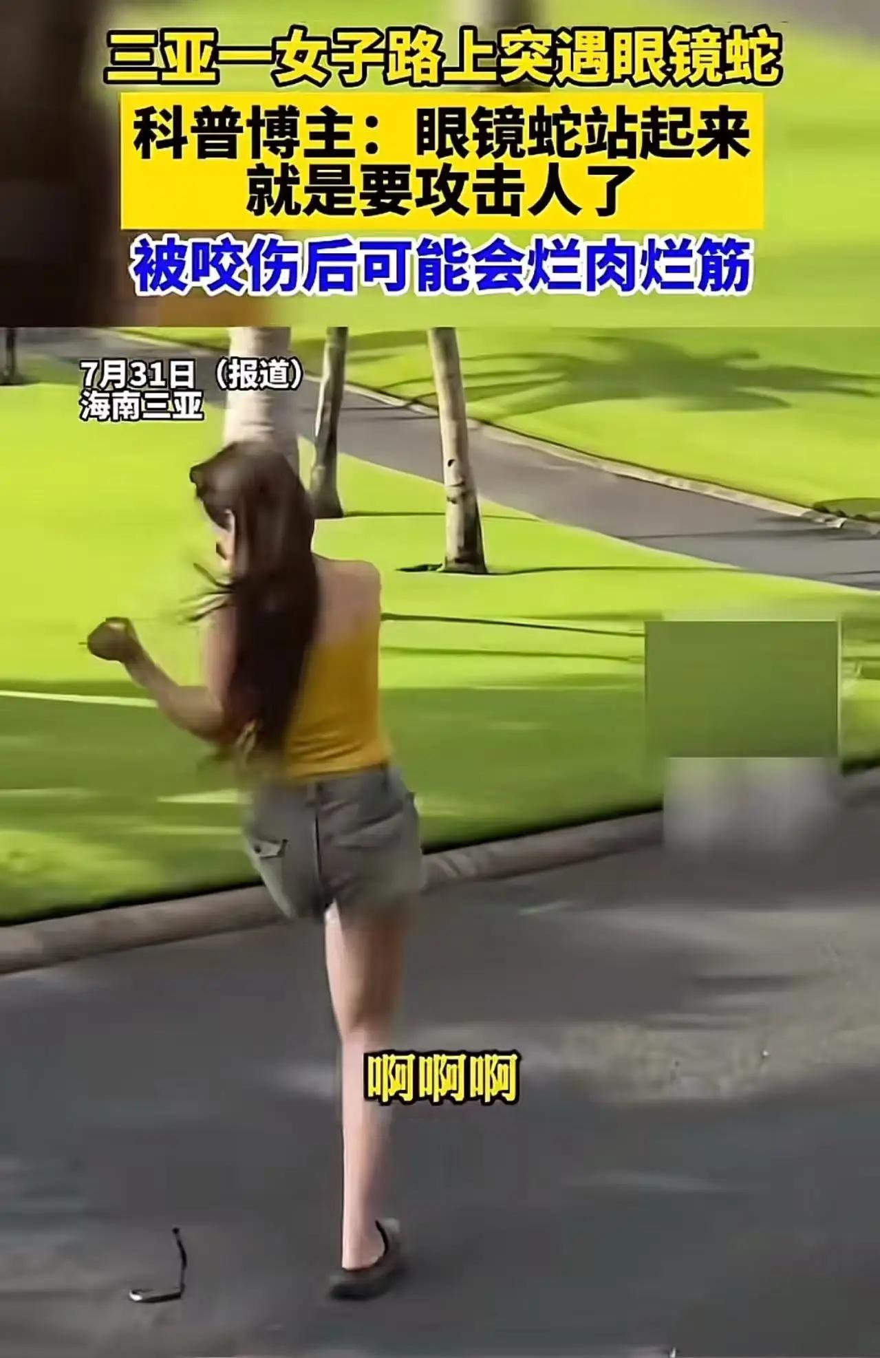 后背发凉！三亚女子户外拍短视频扭腰摆拍，身后剧毒眼镜蛇直立起身，随时准备扑咬
 