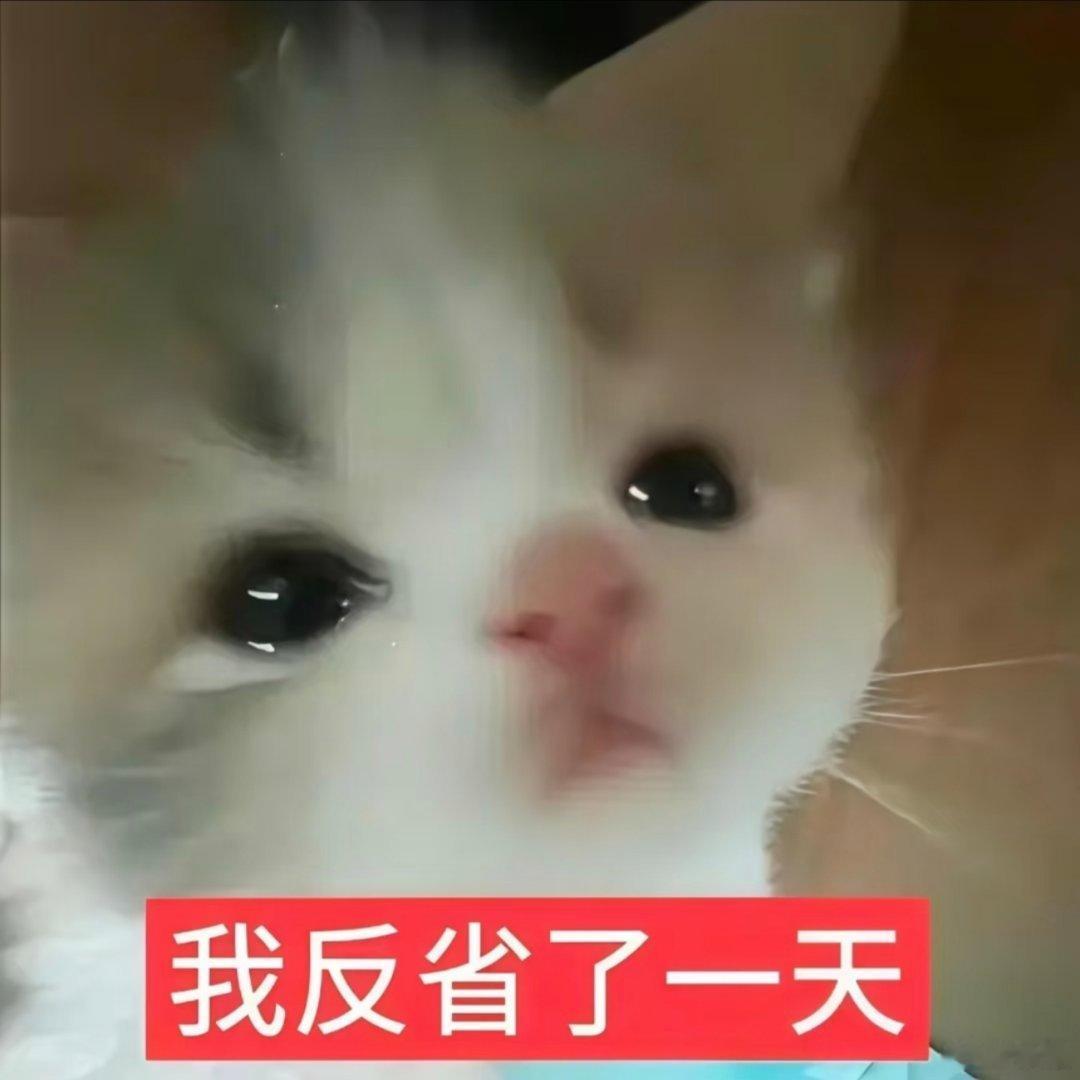 猫咪表情包分享。 