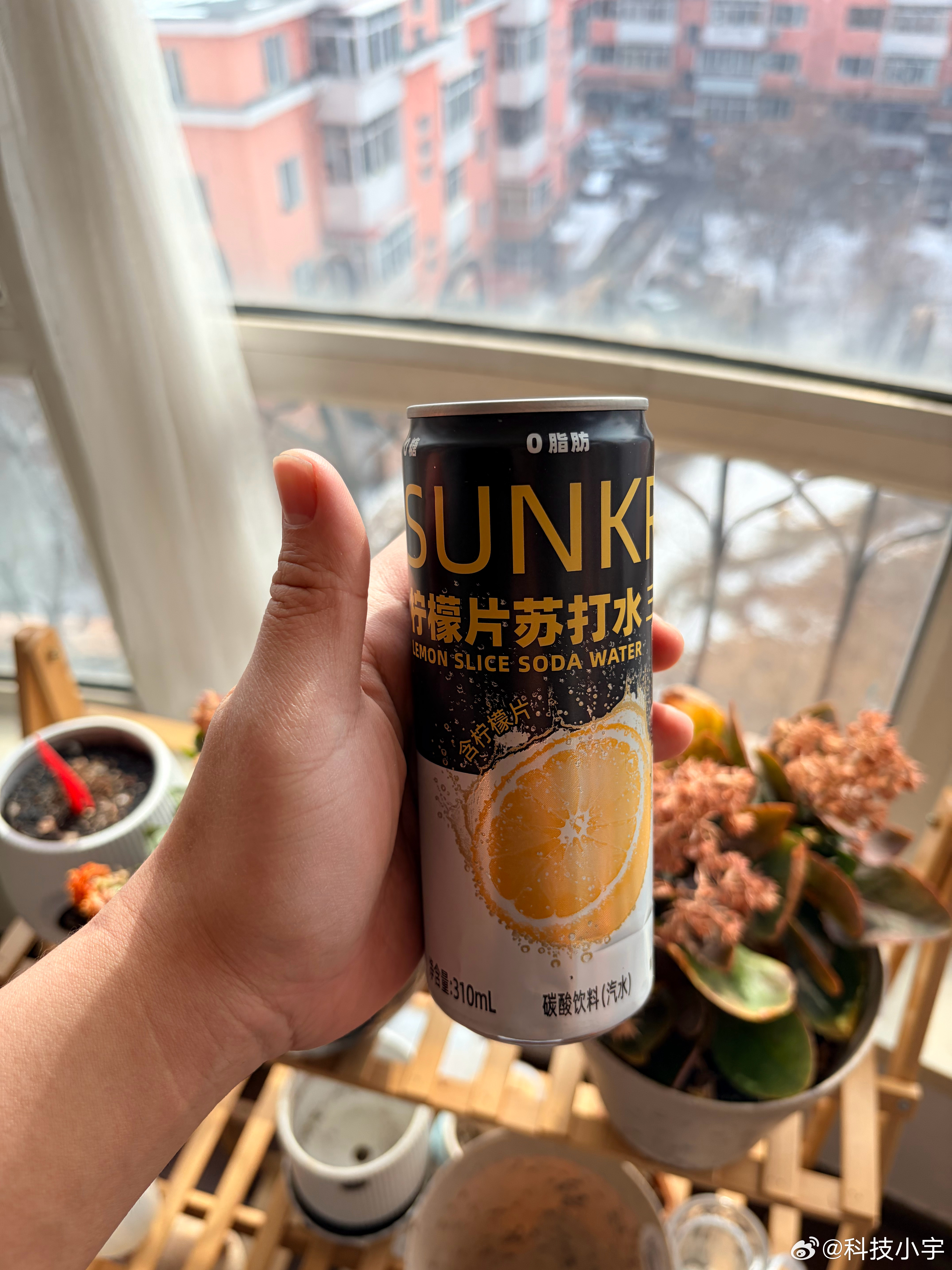 现在连苏打水都这么卷了吗，里面都放上柠檬片了