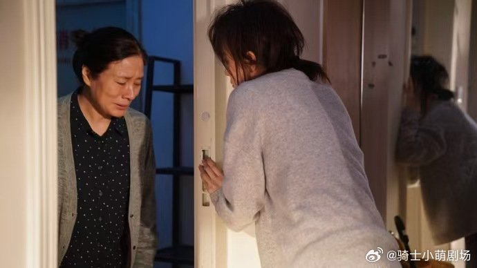 别再虐孙俪了危险关系别再虐孙俪了雨中送别母亲，亲手安放骨灰，颜聆哭到泪干的样子太