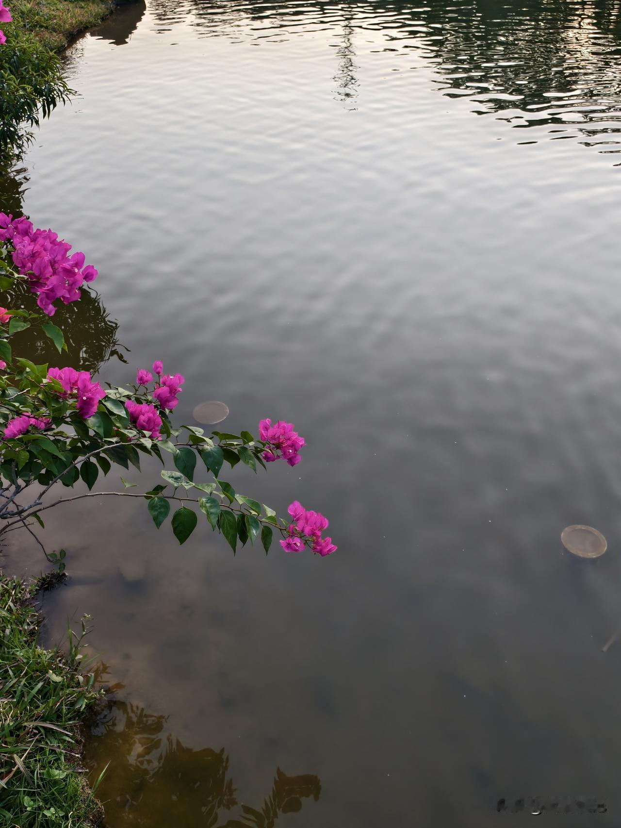 养生其实没那么玄乎
真不是非得吃什么名贵补品，也不是非得天天去健身房撸铁。
说白
