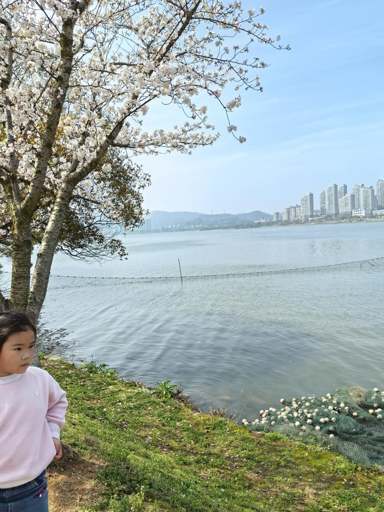 女人要不要为了孩子委屈求全，这事儿不能一概而论。有些事儿能委屈，像生活习惯、消费