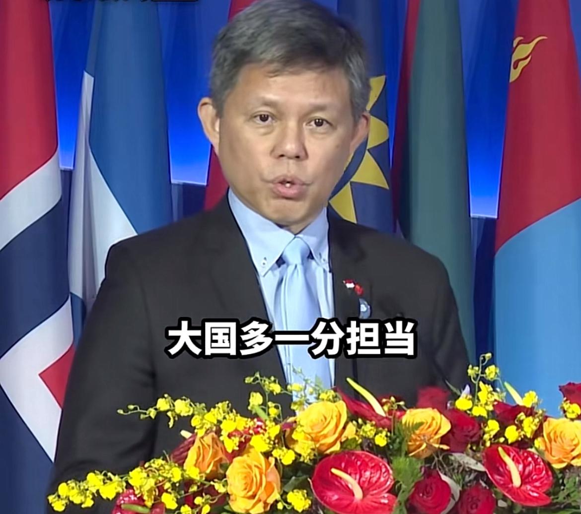 “大国多一份担当，小国就少一份担忧”这是今天（9月16日）新加坡防长陈振声的发言