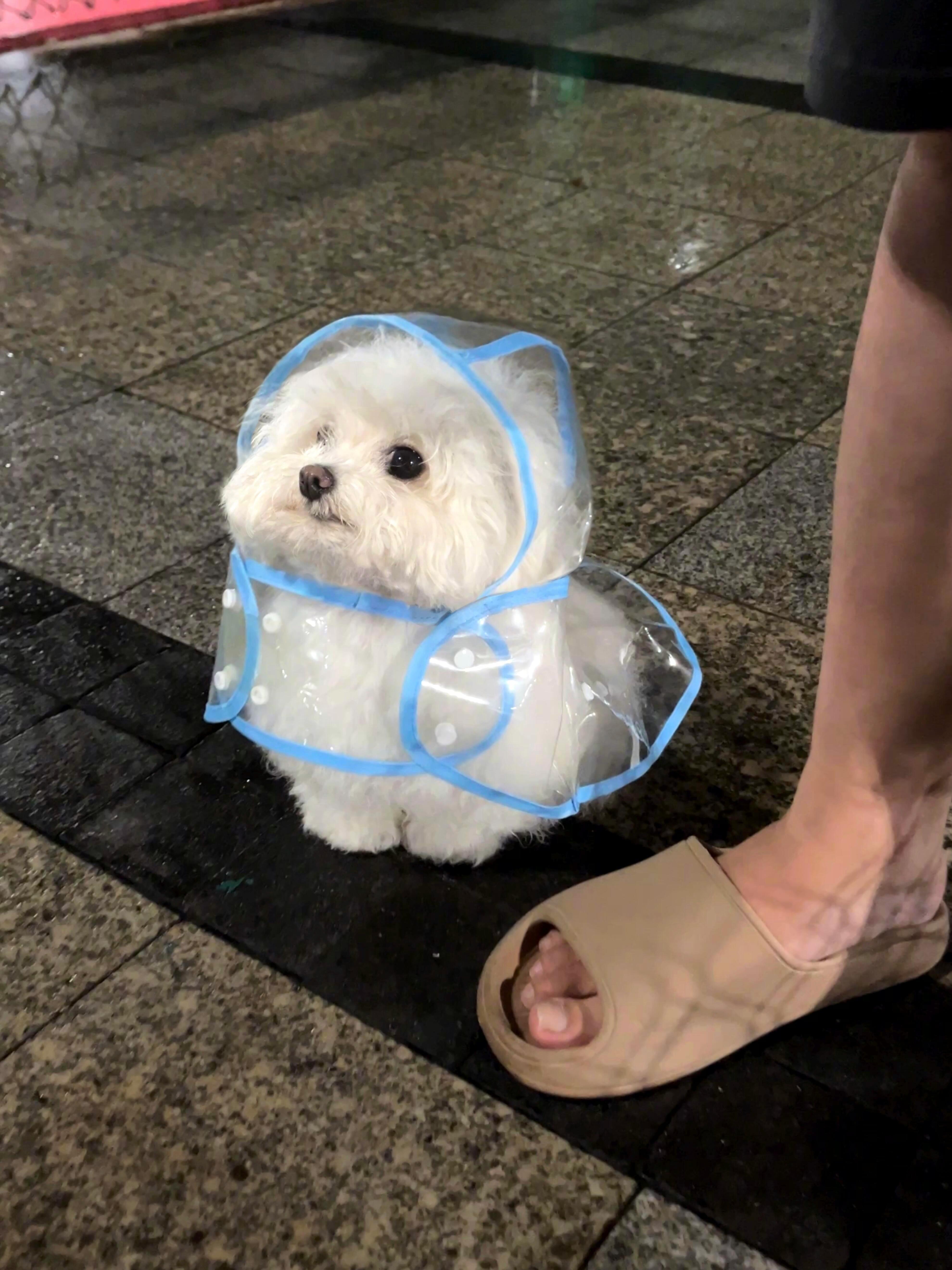 宝宝雨衣买了，雨停了…🥺 ​​​