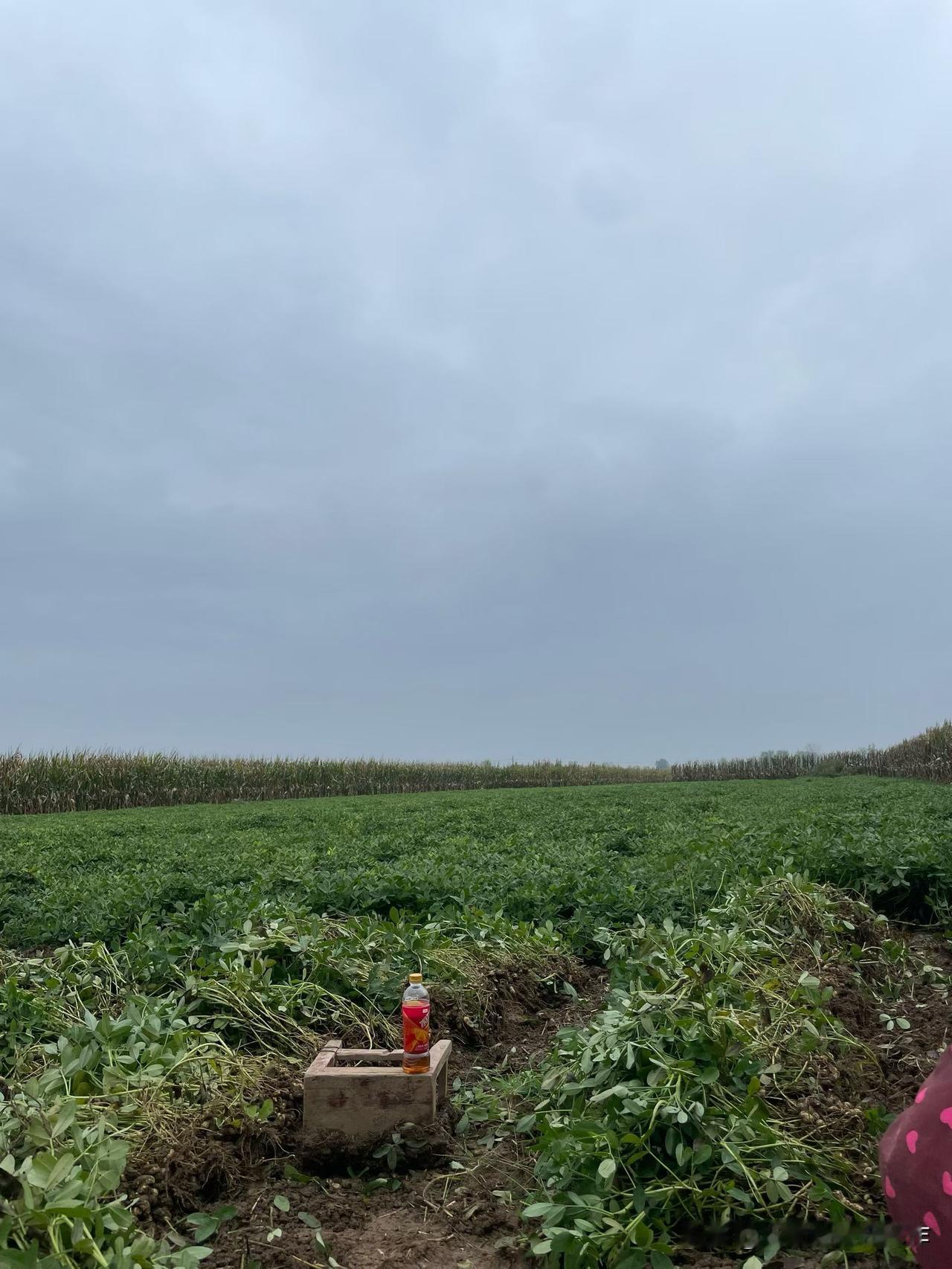 我见过最寒心的事:有人常年守着老人，有人常年找借口，最后付出的反倒成了应该。
