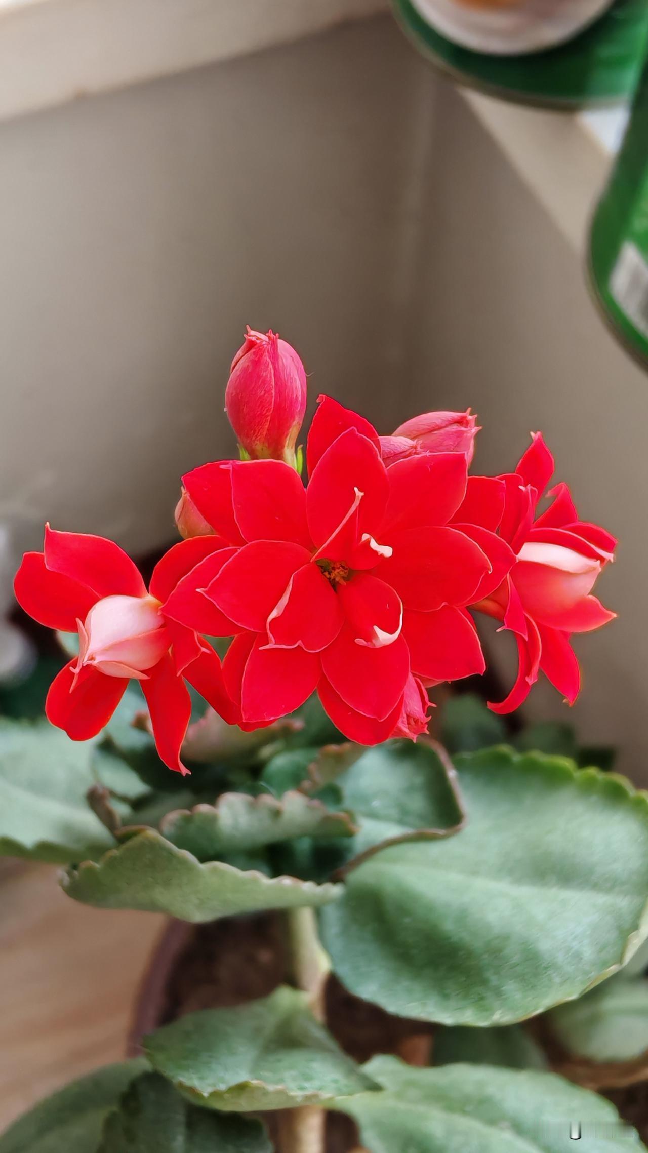 普通人一生，能抓住4次翻身机会你就彻底赢了
 
1. 靠父母
出身真的能让你少走