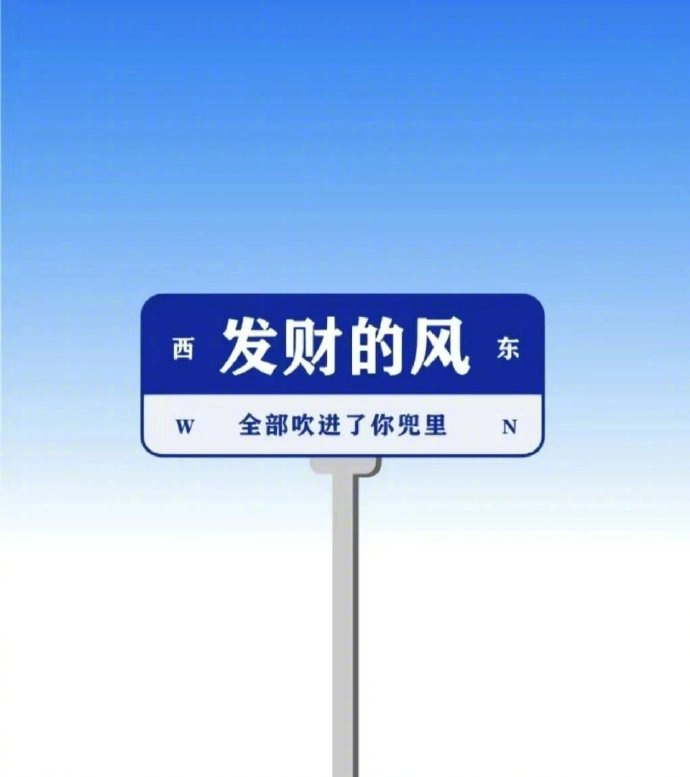-                           我没有什么避风港  钞票