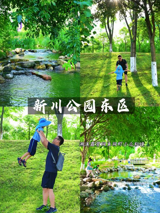这夏该你入场 ‼️新川公园东区夏日玩水秘境